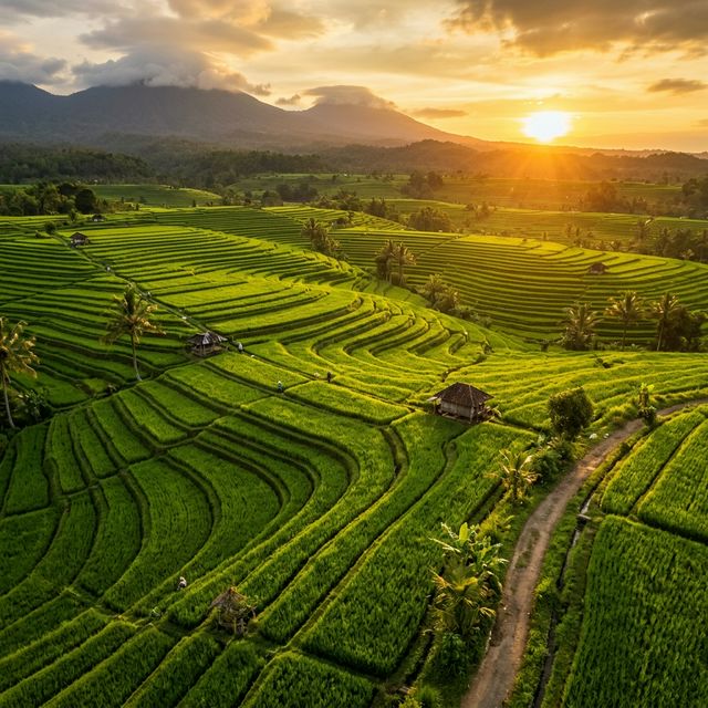 Background Tani Makmur